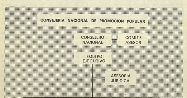 Pie de Foto: Estructura de la Consejería Nacional de Promoción Popular.
