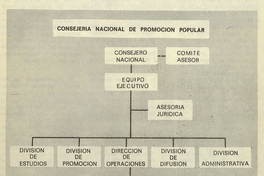 Pie de Foto: Estructura de la Consejería Nacional de Promoción Popular.