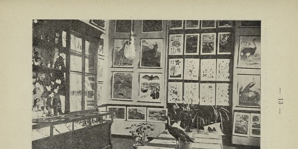 Pie de Foto: Sala de botánica y zoología del Liceo de señoritas "José Miguel Infante", 1913