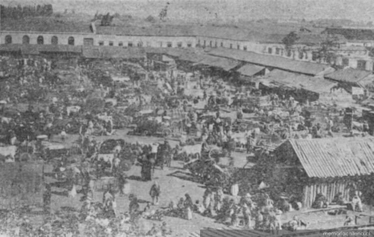 Feria de productos agrícolas, Chillán, 1903