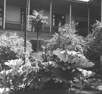 Vista del antiguo patio del Instituto Nacional (1964)
