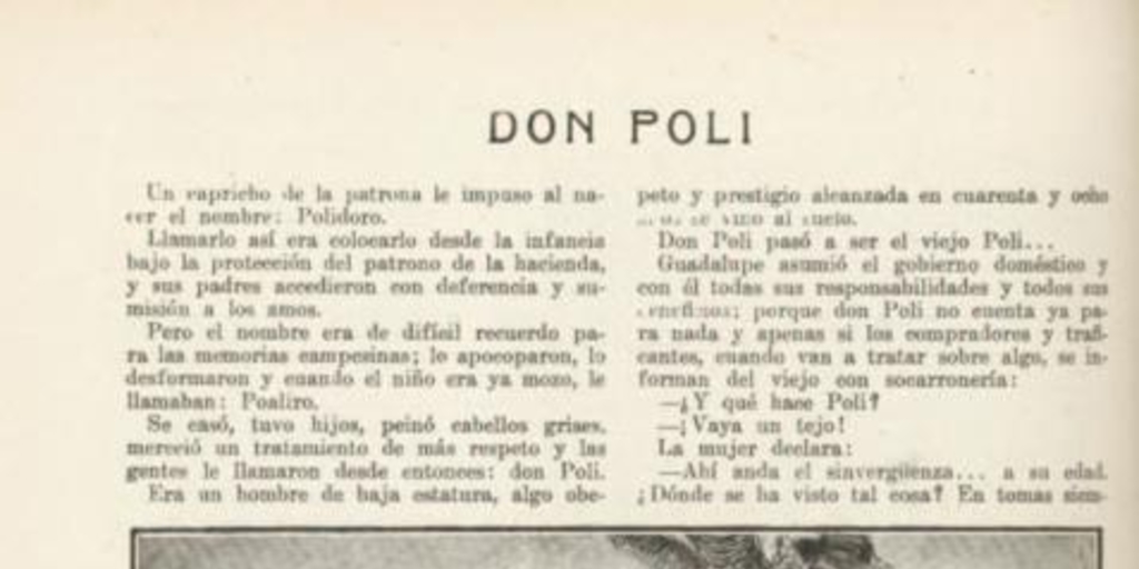 Don Poli