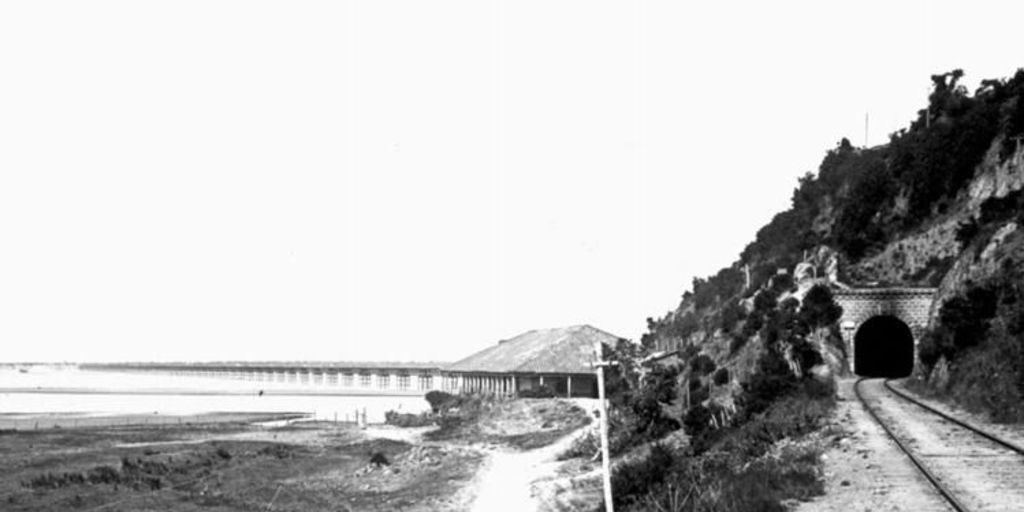 Puente del río Bío-Bío, construido en la década de 1880