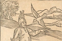 Cabalgando sobre la langosta, grabado del siglo XV