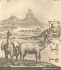Llamas, buitrón y trapiche, 1713