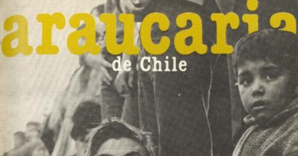 Araucaria de Chile, Nº 23, 1983