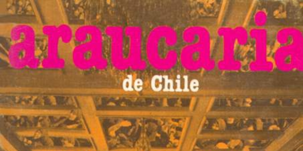 Araucaria de Chile, n° 45, 1989