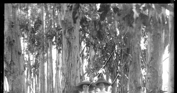 Mujeres en un bosque, ca. 1900