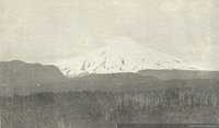 Bosques de la Provincia de Cautín y volcán Villarrica, fines del siglo XIX