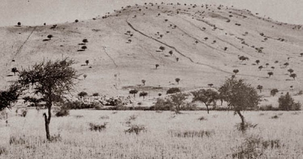 Erosión de manto por sobrepastoreo, primera mitad del siglo 20