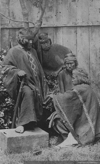 Grupo de mapuche en un huerto sureño, ca. 1870