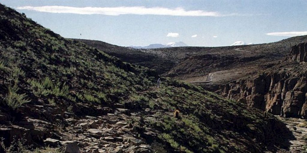 Camino Inca que conduce a Cerro Verde, Caspana
