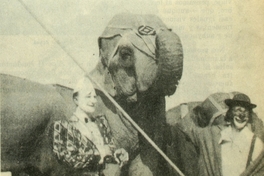 Payasos junto a elefante, 1956