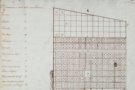 Plano de la Villa de Parral, 1844