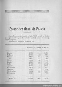 Estadística anual de policía