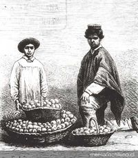El frutero, siglo XIX